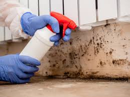 Best Commercial Mold Inspection  in Pen Argyl, PA